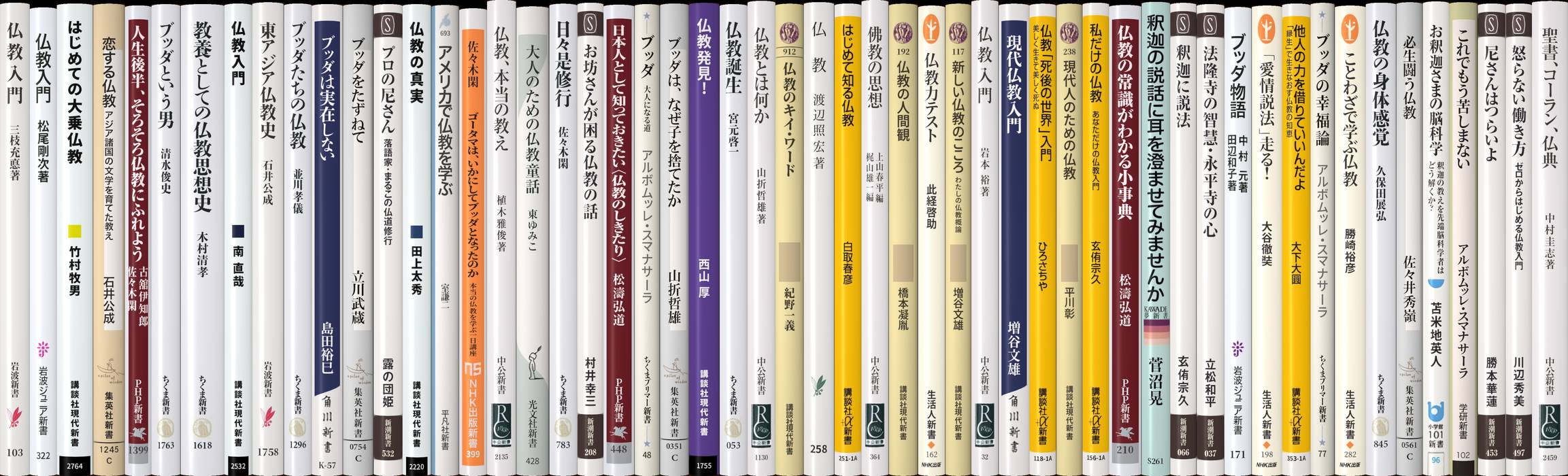 仏教入門 | 新書マップ4D