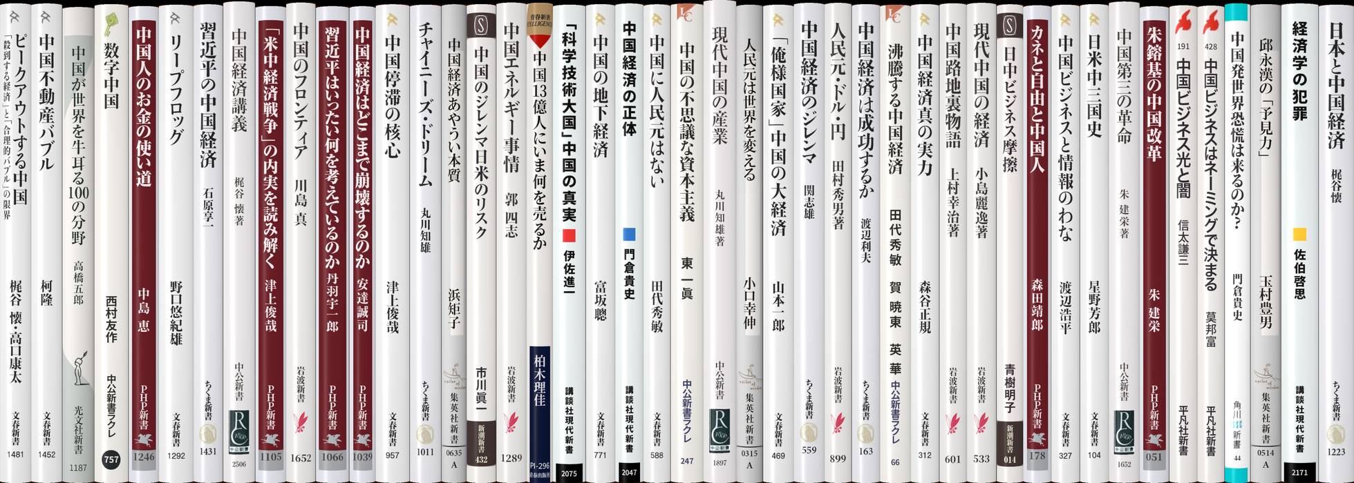 中国経済 | 新書マップ4D