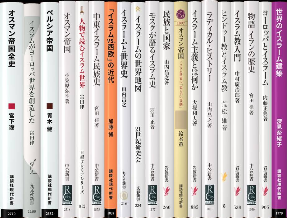イスラムの歴史 | 新書マップ4D