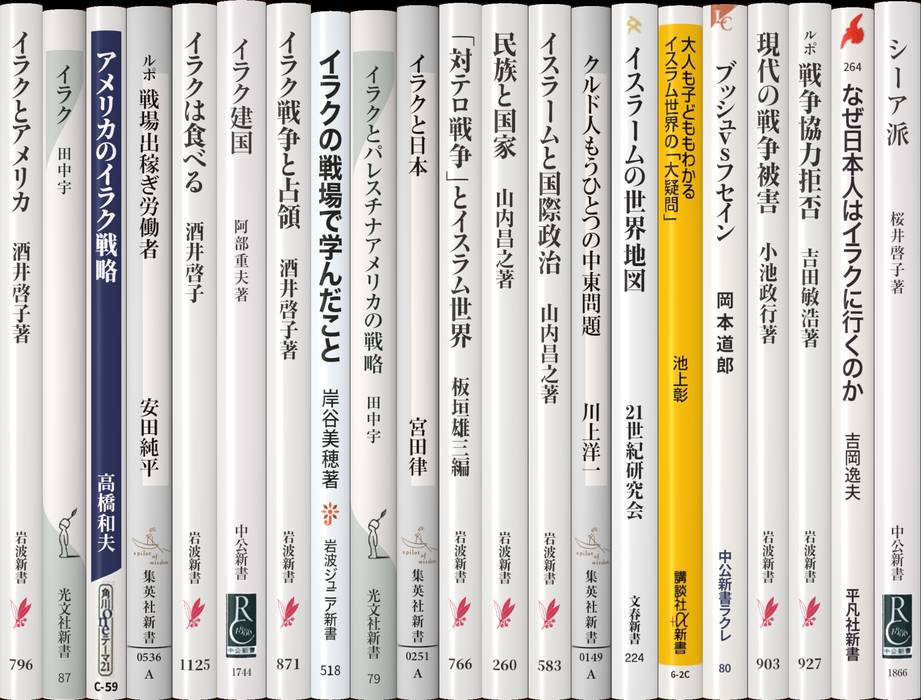 9.11 アフガニスタン戦争 イラク戦争 関連書籍(洋書)(9.11 9.11 アフガニスタン戦争 イラク戦争 関連書籍(洋書)(9.11