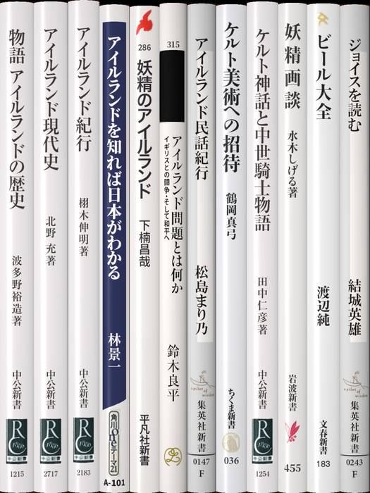 アイルランド | 新書マップ4D