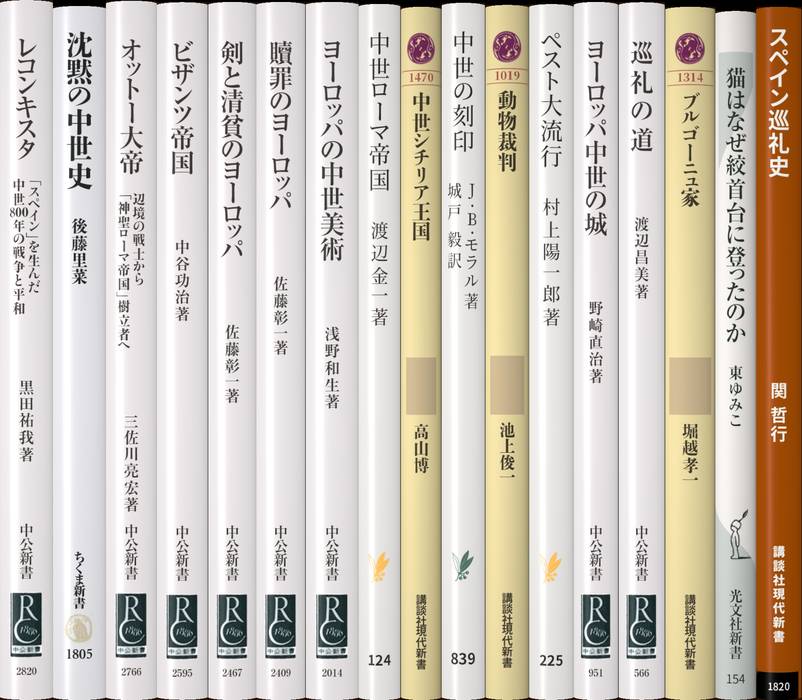 中世ヨーロッパ | 新書マップ4D