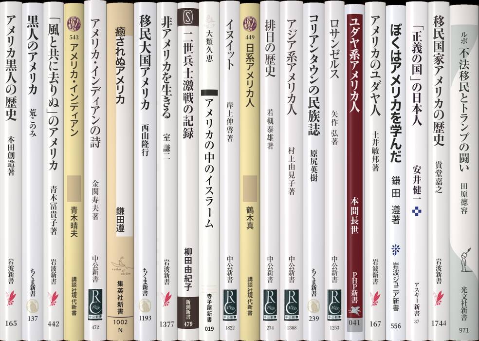 アメリカのマイノリティー | 新書マップ4D