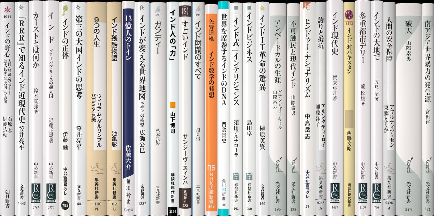 インドの現代 | 新書マップ4D
