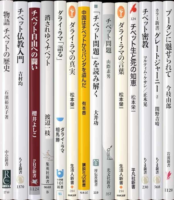 チベット | 新書マップ4D