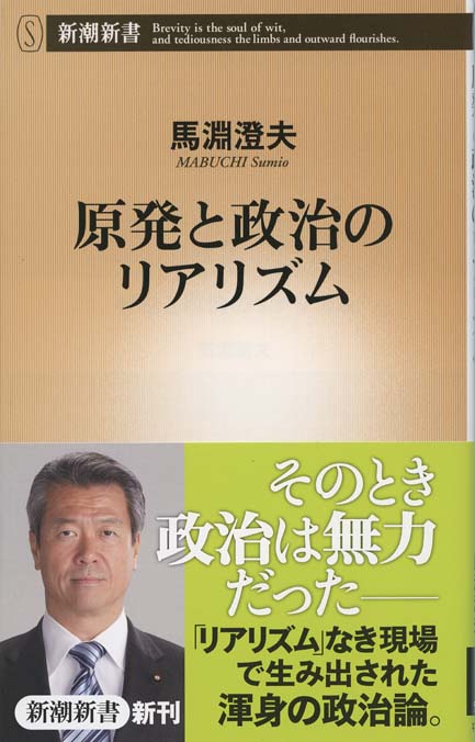 原発敗戦 危機のリーダーシップとは 新書マップ